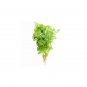 100% Dried Coriander Seeds Ready to Cook 500g