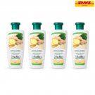 4x Keing Pure Ginger Shampoo Herbal Anti Hair Loss Fall Scalp Nour