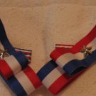 Red White and Blue Barrettes 2