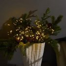 Bethlehem Lights (2) Star Bursts with Remote - Black Wire