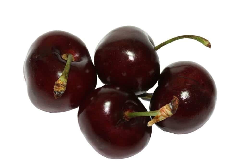 10 Seeds Bada Bing Cherry Seeds