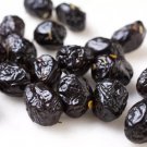 10 Seeds Beldi Olive Seeds