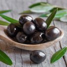 10 Seeds Mission Black Olive Seeds 10 Seeds Mission Black Olive Seeds