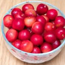 10 Sato Nishiki Satonishiki Cherry Seeds -