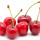 10 Sour Tart Cherry Seeds