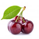 10 Sweet Cherry Seeds