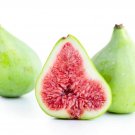 100 Adriatic Lattarula Fig Seeds