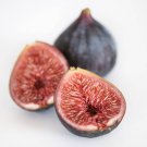 100 Black Mission Fig Seeds