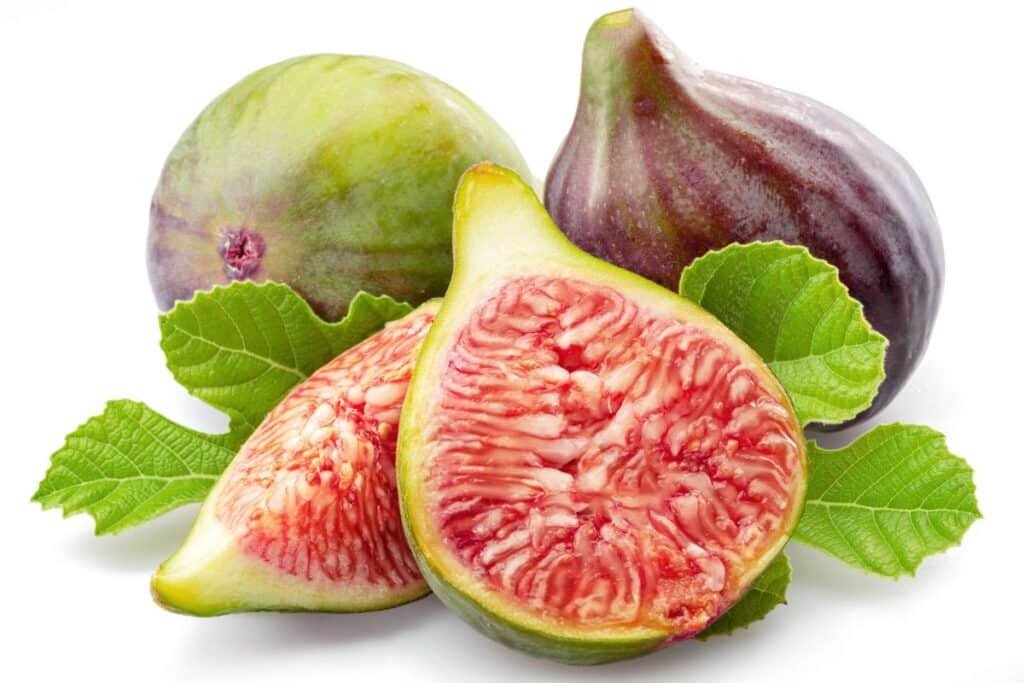 100 Celeste Sugar Fig Seeds