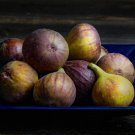 100 Hardy Chicago Fig Seeds 100 Hardy Chicago Fig Seeds