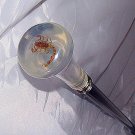 SCORPION Cane/Walking Stick 34" NO RESERVE Collectors