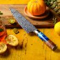 Professional Chef Knife Gyuto Blade Shape Home Kitchen Cooking Tool