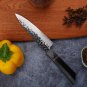 Japanese Petty Knife 5.5 Inch Clad Steel Blade Chef's Kitchen Knife