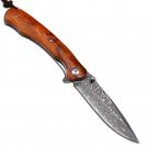 Folding Hunting Knife San Mai Blade Leather Scabbard