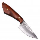 Mini Kitchen Knife Chef Home Cooking BBQ Outdoor Hunting Tool Mini Kitchen Knife Chef Home Cooking BBQ Outdoor Hunting Tool