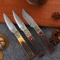Hunting Knife 2.6" Fixed Blade Home Outdoor BBQ Tool Tomato Steak