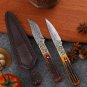 Hunting Knife 3 Inch Fixed Blade Home Outdoor BBQ Tool