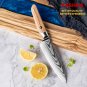 Petty Knife 5.5 Inch Damascus Blade Chef Kitchen Home Cutting Tool Utility Knife