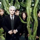 My Chemical Romance ~ 1
