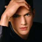 Wentworth Miller ~ 1