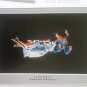 Movie Poster Book Great Love Scenes Ronald Bergan Marilyn Monroe Bogart Bergman