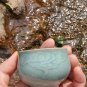 2PCS, Authentic Longquan Small Celadon Tea Cup, with Cloud Pattern 1.35oz