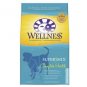 Wellness Dry Dog Food - Fish & Sweet Potato