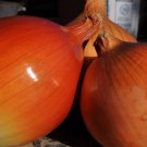 Yellow Sweet Spanish Onion Seeds, NON-GMO, Variety Sizes, 25 seeds