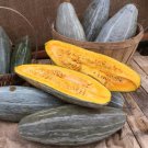 Guatemalan Blue Winter Squash Seeds, Blue Banana Squash, NON-GMO, 7 seeds