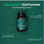 Probiotics 60 Capsules – Digestive Support & Gut Health Balance for Daily Wellness