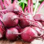 Earthborn Elements Beet Root Pure Supplement 200 Capsules No Additives