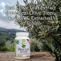 Olive Leaf Extract Capsules 25% Oleuropein Polyphenols Antioxidant Support 90 Caps