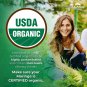 Zazzee Organic Moringa 20:1 Extract Capsules Antioxidant Immune Support 180 Vegan Caps