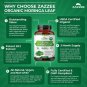 Zazzee Organic Moringa 20:1 Extract Capsules Antioxidant Immune Support 180 Vegan Caps