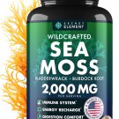 Sea Moss Capsules with Burdock Root Bladderwrack Plant Based Supplement 120 Caps Sea Moss Capsules with Burdock Root Bladderwrack Plant Based Supplement 120 Caps