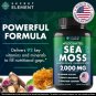 Sea Moss Capsules with Burdock Root Bladderwrack Plant Based Supplement 120 Caps