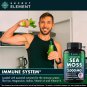 Sea Moss Capsules with Burdock Root Bladderwrack Plant Based Supplement 120 Caps