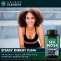 Sea Moss Capsules with Burdock Root Bladderwrack Plant Based Supplement 120 Caps