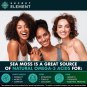 Sea Moss Capsules with Burdock Root Bladderwrack Plant Based Supplement 120 Caps