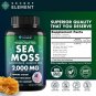 Sea Moss Capsules with Burdock Root Bladderwrack Plant Based Supplement 120 Caps