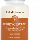 Real Mushrooms Cordyceps Capsules Energy Performance Support Vegan Non GMO 120 Caps Real Mushrooms Cordyceps Capsules Energy Performance Support Vegan Non GMO 120 Caps