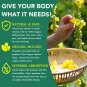 Mullein Drops for Lungs 60ml Mullein Leaf Extract with Chlorophyll Respiratory Support Herbal