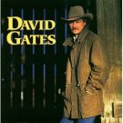 david gates - love is always seventeen CD 1994 discovery used