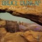 bruce dunlap - about home CD 1992 chesky 11 tracks used mint