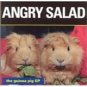 angry salad - the guinea pig ep CD breaking world 7 tracks used mint