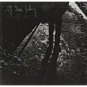 it dies today - caitiff choir CD + DVD trustkill used mint