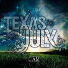 texas in july - i am CD 2009 CI independent label collective 11 tracks used mint