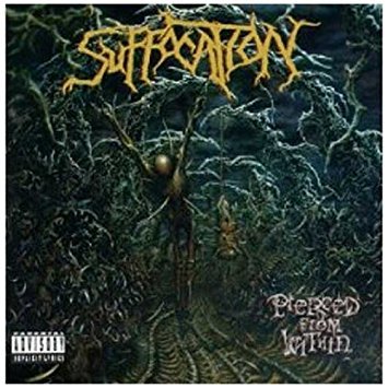 suffocation - pierced from within CD 1995 roadrunner 9 tracks used near mint