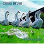 china drum - goosefarm CD (510) records 1996 14 tracks used