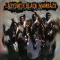 ladysmith black mambazo - raise your spirit higher CD 2003 gallo 2004 heads up used mint
